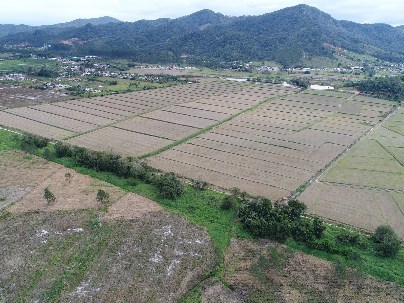 Área rural vista por drone