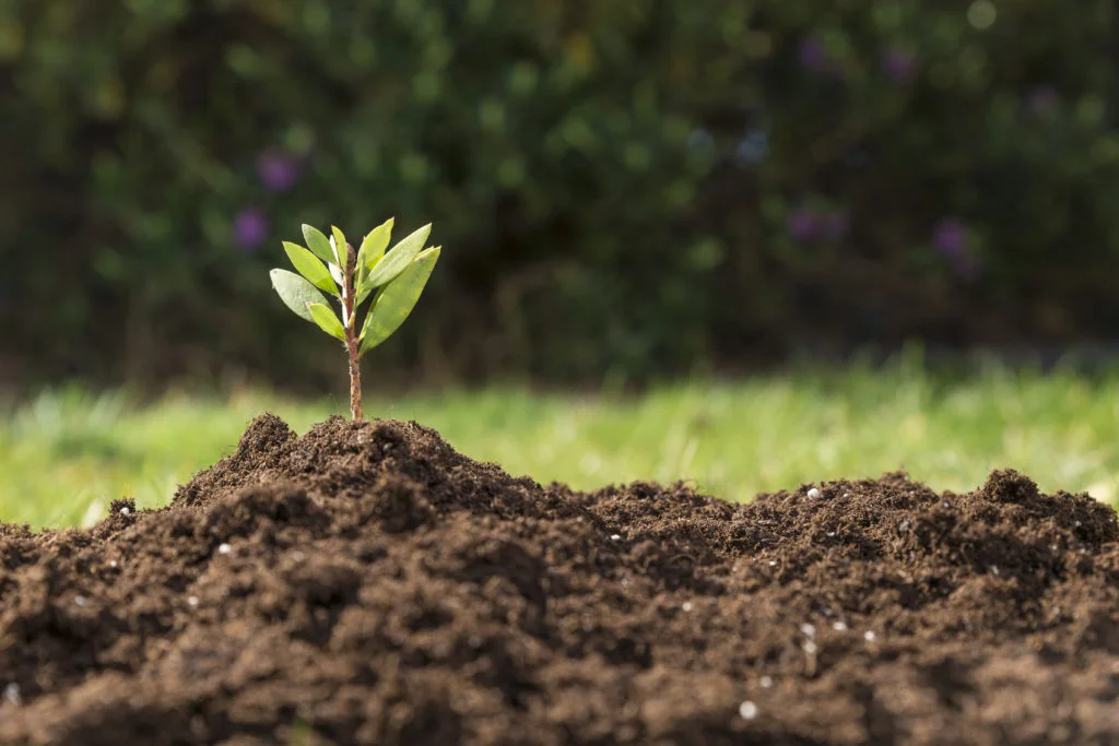 Licenciamento Ambiental